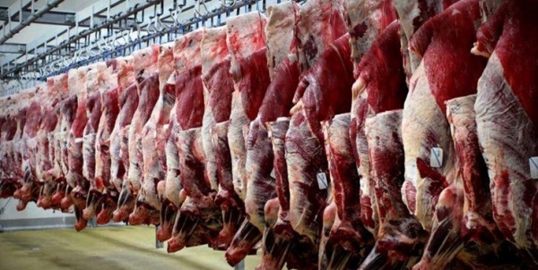 ورود ۹۲ تن گوشت گرم قزاقستانی به کشور با پرواز ایران‌ایر